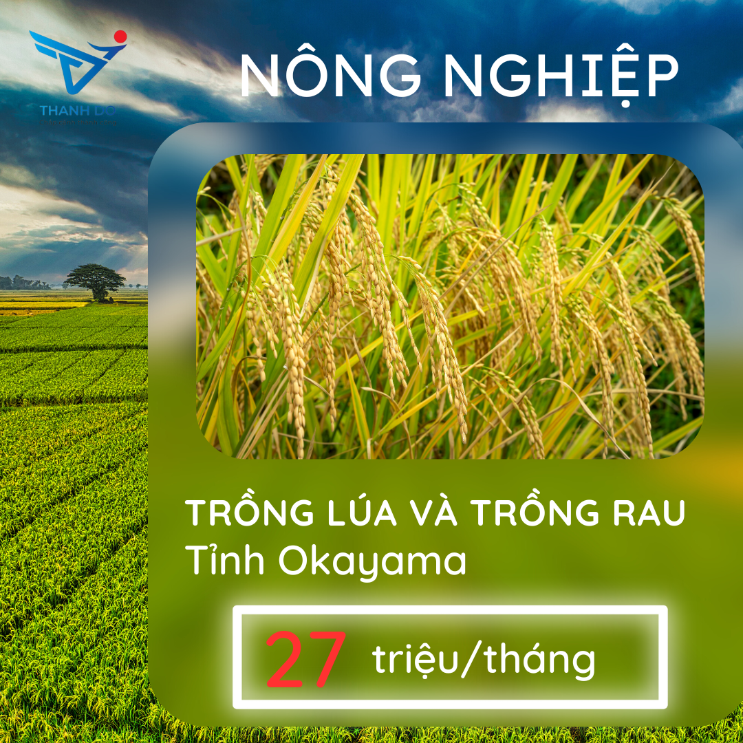 CÔNG TY XKLĐ THÀNH ĐÔ TUYỂN 09 NAM - ĐƠN HÀNG NÔNG NGHIỆP